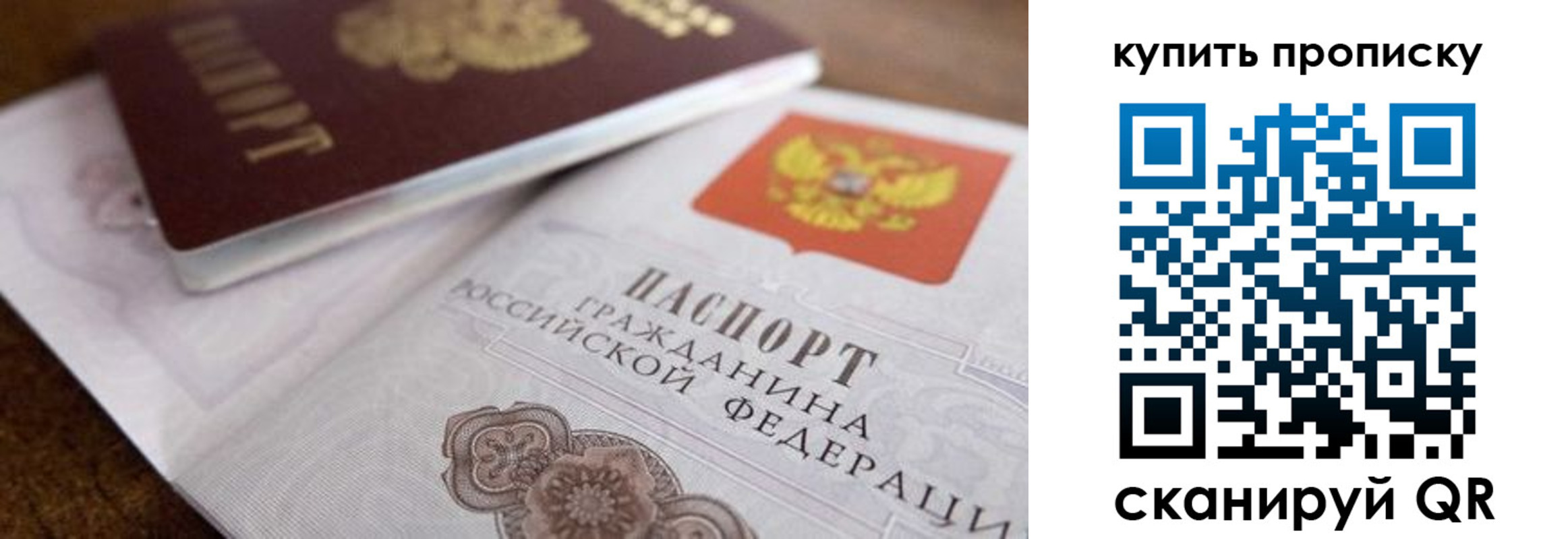 прописка гарантия в Щиграх
