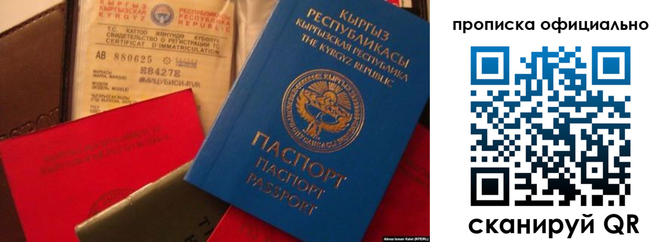 где прописаться в Щиграх